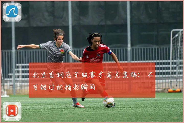 北京首钢范子铭赛季高光集锦：不可错过的精彩瞬间