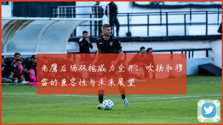 老鹰后场双枪威力全开：吹杨和穆雷的兼容性与未来展望